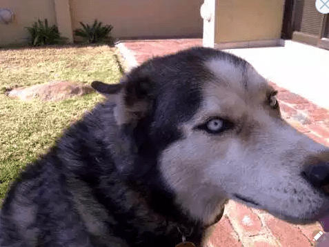 Screenshot 2018-11-23 at 14.33.36.png